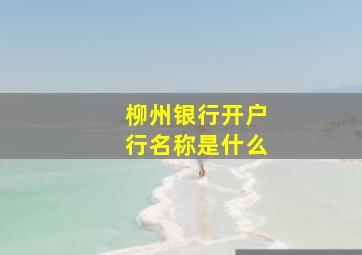 柳州银行开户行名称是什么