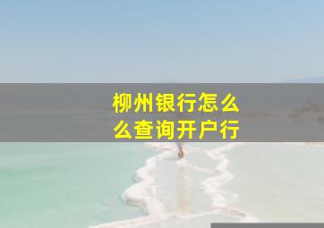 柳州银行怎么么查询开户行