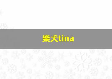 柴犬tina