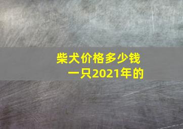 柴犬价格多少钱一只2021年的