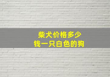 柴犬价格多少钱一只白色的狗