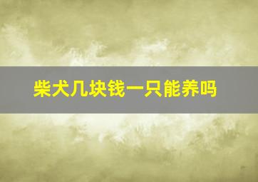 柴犬几块钱一只能养吗