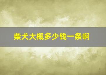 柴犬大概多少钱一条啊