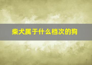 柴犬属于什么档次的狗