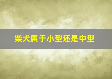 柴犬属于小型还是中型