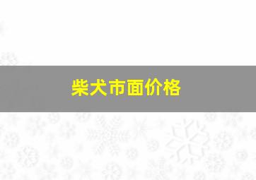 柴犬市面价格