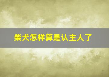 柴犬怎样算是认主人了