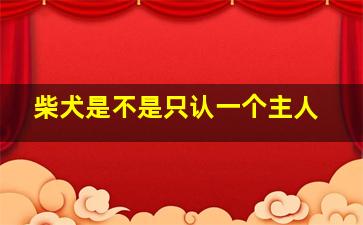 柴犬是不是只认一个主人