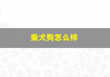 柴犬狗怎么样