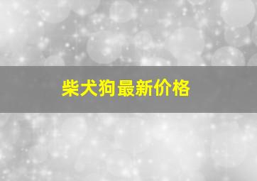 柴犬狗最新价格