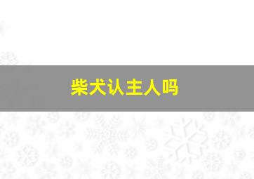 柴犬认主人吗