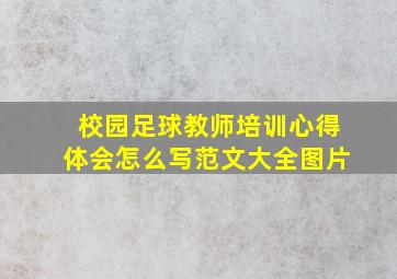 校园足球教师培训心得体会怎么写范文大全图片