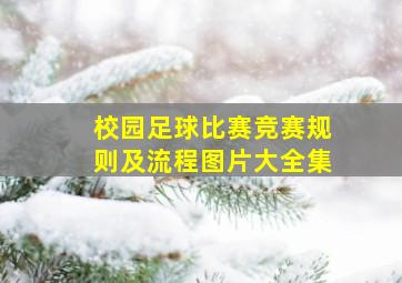 校园足球比赛竞赛规则及流程图片大全集