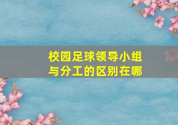 校园足球领导小组与分工的区别在哪