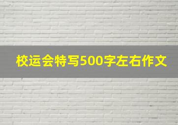 校运会特写500字左右作文