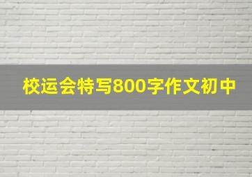 校运会特写800字作文初中