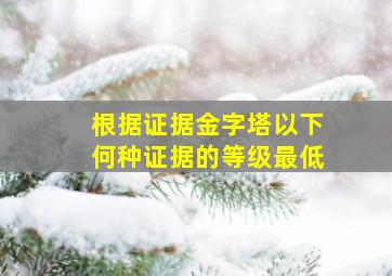 根据证据金字塔以下何种证据的等级最低