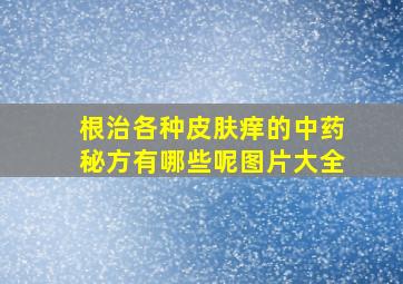 根治各种皮肤痒的中药秘方有哪些呢图片大全