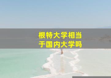 根特大学相当于国内大学吗