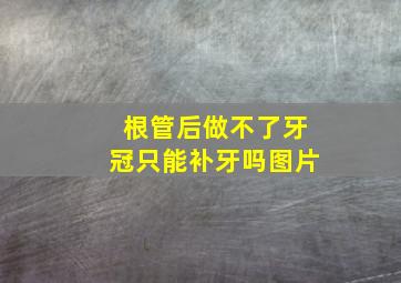 根管后做不了牙冠只能补牙吗图片