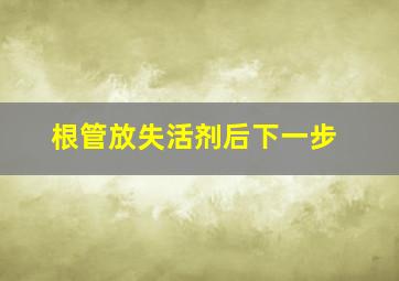 根管放失活剂后下一步