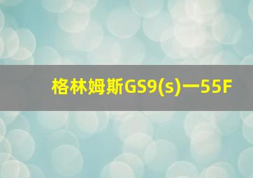 格林姆斯GS9(s)一55F