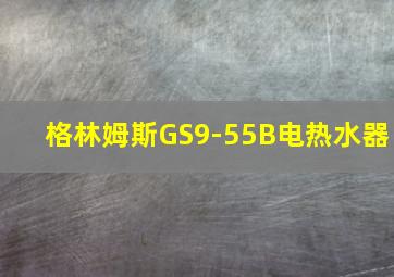 格林姆斯GS9-55B电热水器