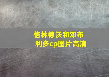 格林德沃和邓布利多cp图片高清