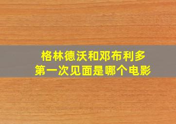 格林德沃和邓布利多第一次见面是哪个电影