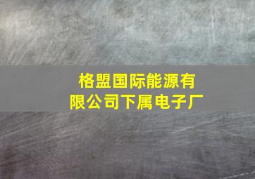 格盟国际能源有限公司下属电子厂