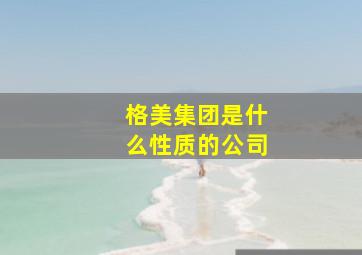 格美集团是什么性质的公司