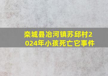 栾城县冶河镇苏邱村2024年小孩死亡它事件