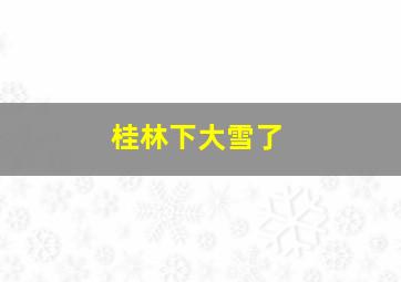 桂林下大雪了