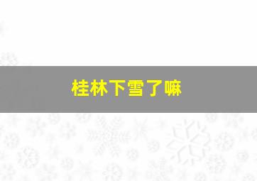 桂林下雪了嘛