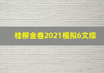 桂柳金卷2021模拟6文综