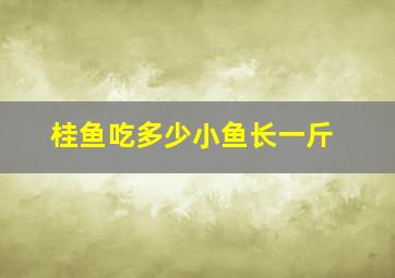 桂鱼吃多少小鱼长一斤