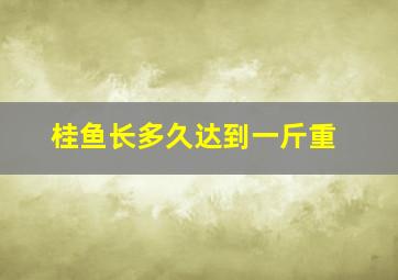 桂鱼长多久达到一斤重