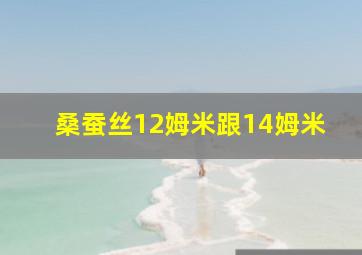 桑蚕丝12姆米跟14姆米