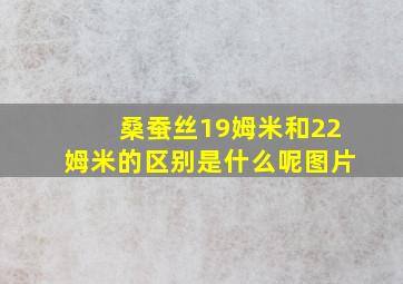 桑蚕丝19姆米和22姆米的区别是什么呢图片