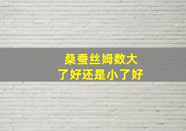 桑蚕丝姆数大了好还是小了好