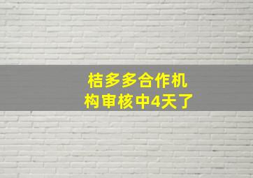 桔多多合作机构审核中4天了