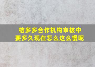 桔多多合作机构审核中要多久现在怎么这么慢呢