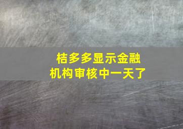 桔多多显示金融机构审核中一天了