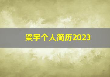 梁宇个人简历2023