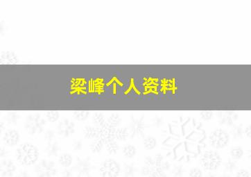 梁峰个人资料