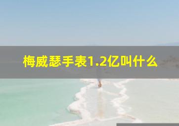 梅威瑟手表1.2亿叫什么