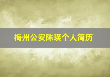 梅州公安陈瑛个人简历