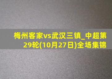 梅州客家vs武汉三镇_中超第29轮(10月27日)全场集锦