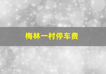 梅林一村停车费