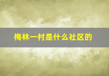 梅林一村是什么社区的